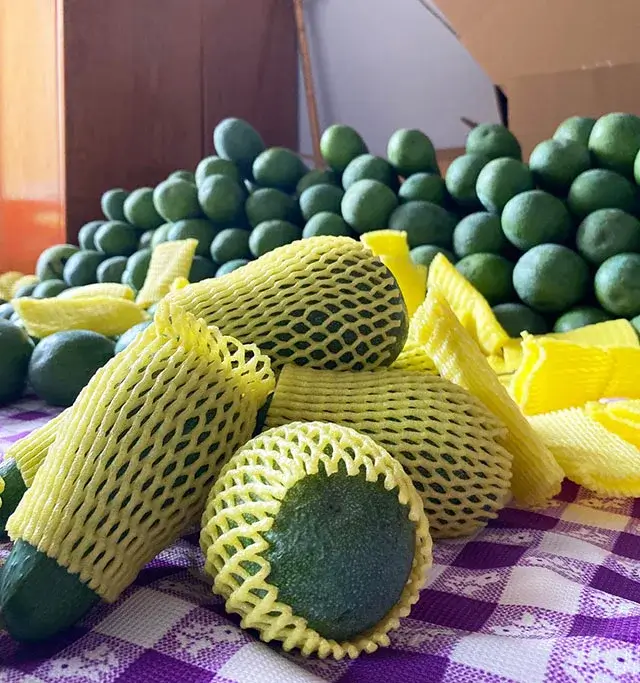 Avokado paketleme ve kargo hazırlığı